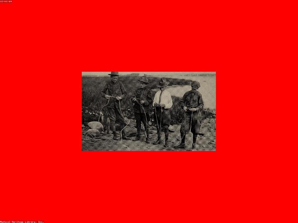 ការពិចារណានៃអត្ថប្រយោជន៍បន្ថែម