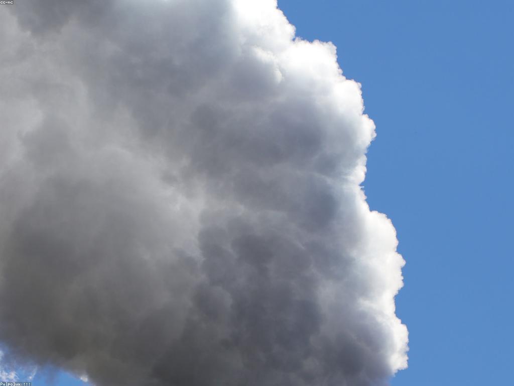 ក្រុមហ៊ុនដែលផ្តល់អត្ថប្រយោជន៍ក្តៅ