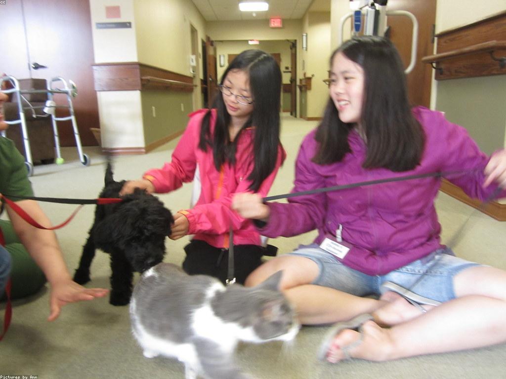 ការពិចារណានៃអត្ថប្រយោជន៍បន្ថែម