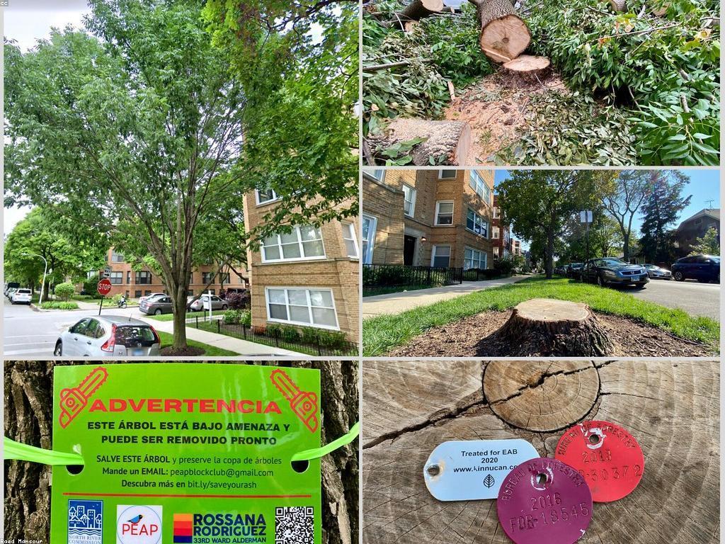 អត្ថប្រយោជន៍នៃសេវាកម្មក្តៅសម្រាប់ការអភិវឌ្ឍន៍ចីរម៉ោង